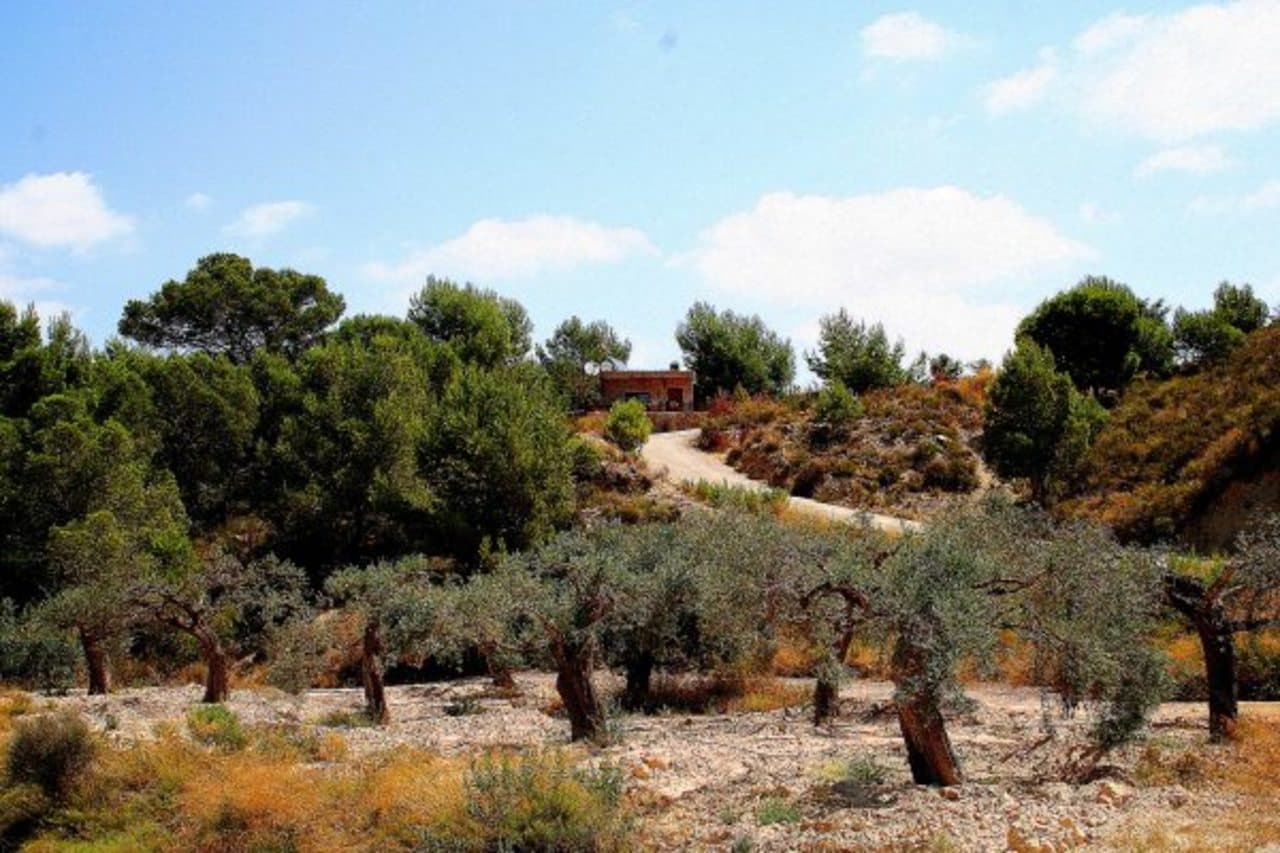 Finca - Cortijo met 3 slaapkamers in Gea y Truyols - 26