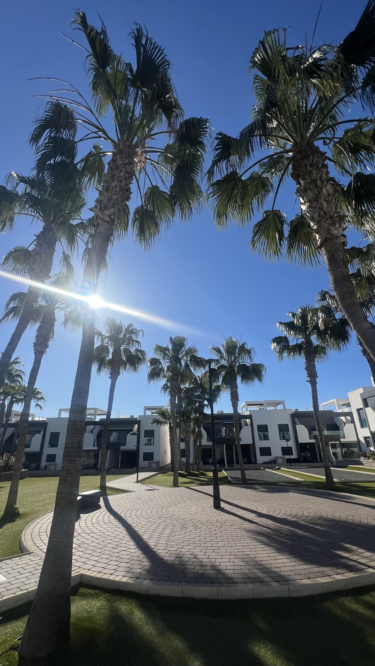 Apartamento Planta Media de 2 dormitorios en La Zenia - 7