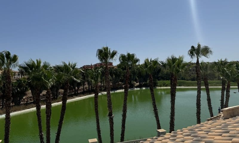 Villa - Chalet de 3 dormitorios en Orihuela Costa - 19
