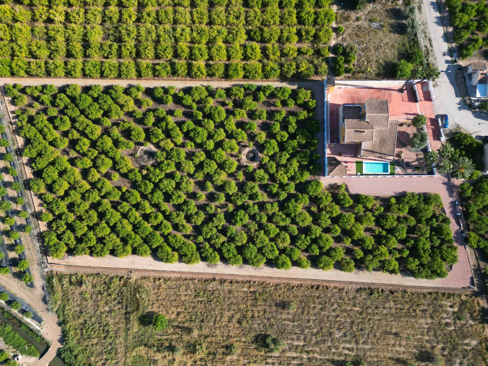 Finca - Cortijo met 4 slaapkamers in Orihuela - 3