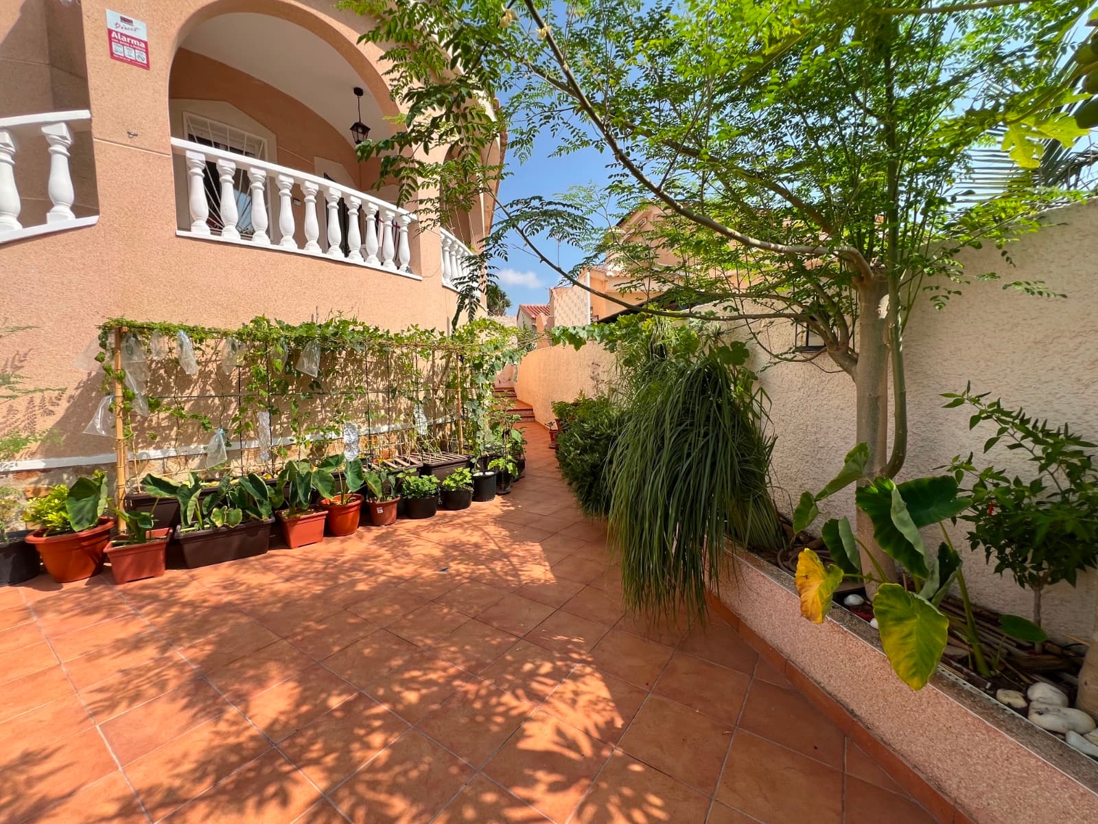 Villa - Chalet de 2 dormitorios en Ciudad Quesada - 3