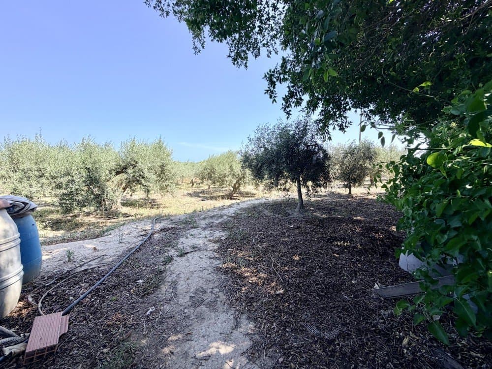 Finca - Cortijo met 5 slaapkamers in La Marina - 8