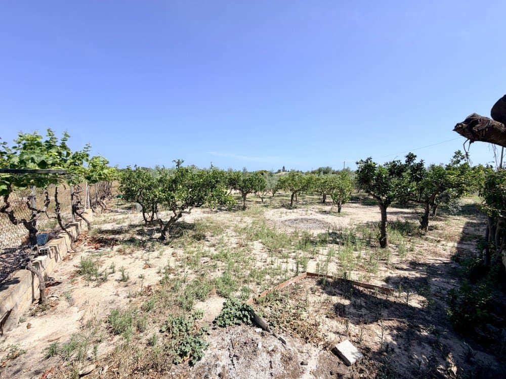 Finca - Cortijo met 5 slaapkamers in La Marina - 3