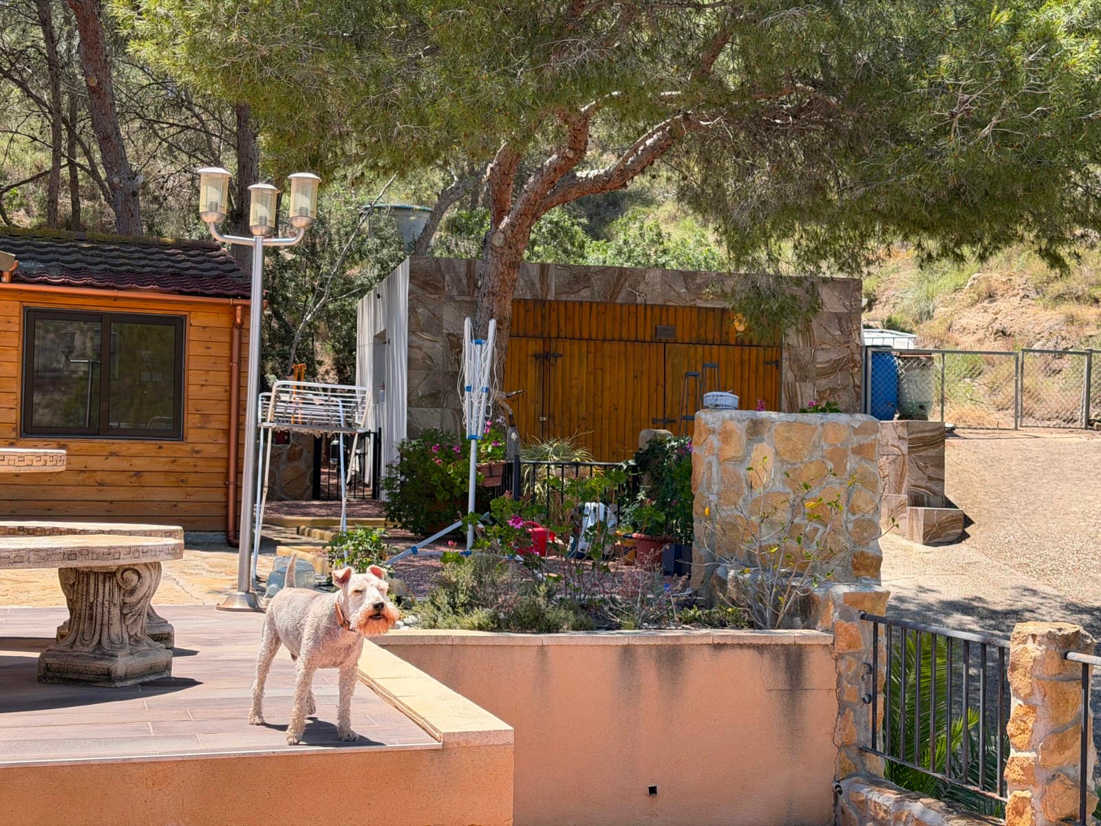 2 bed Finca - Cortijo in Orihuela - 4