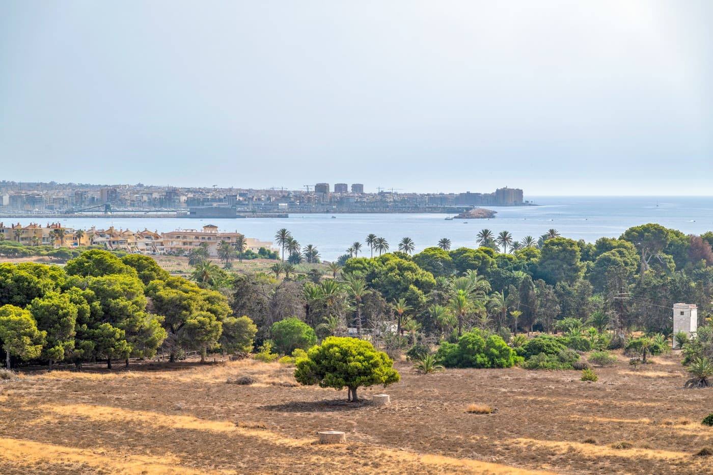 Apartamento Planta Media de 2 dormitorios en Orihuela Costa - 15