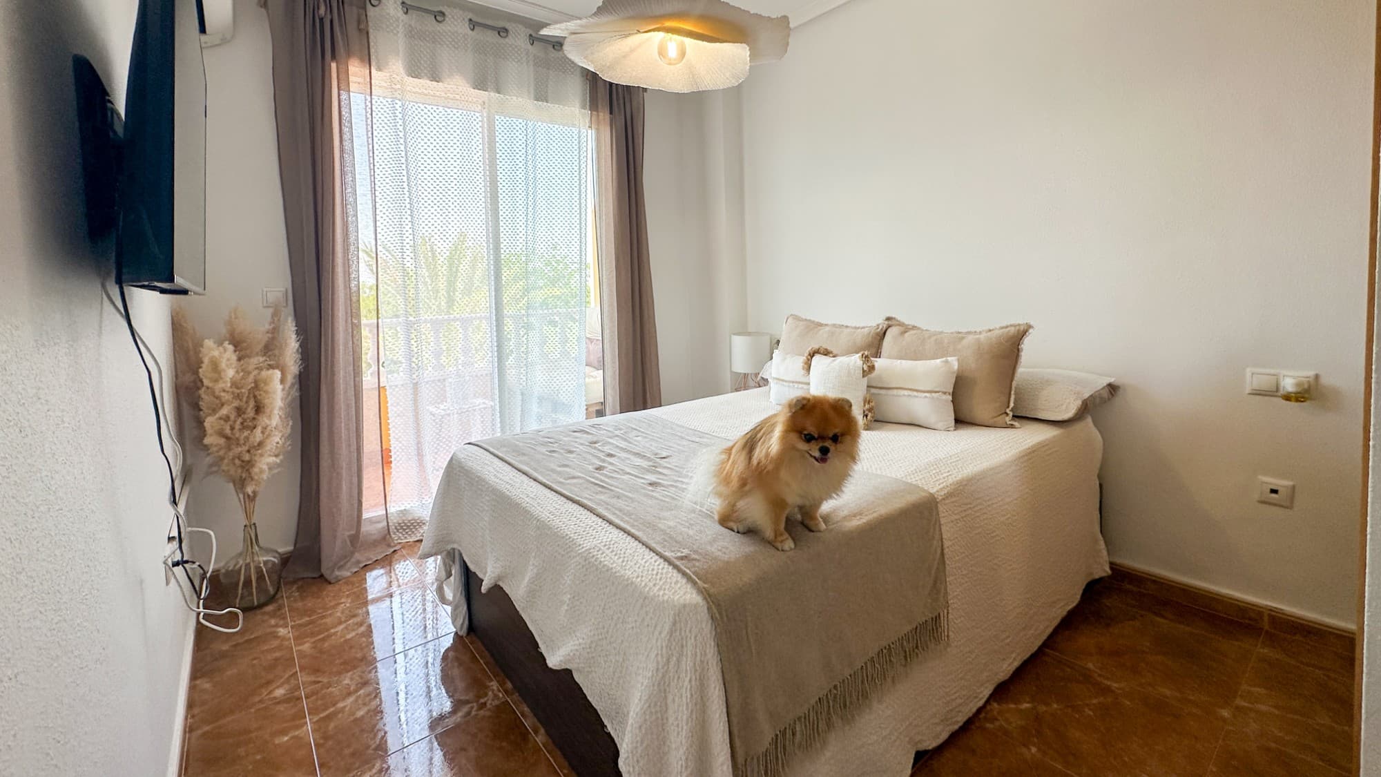 2 bed Middle Floor Apartment in Guardamar del Segura - 16