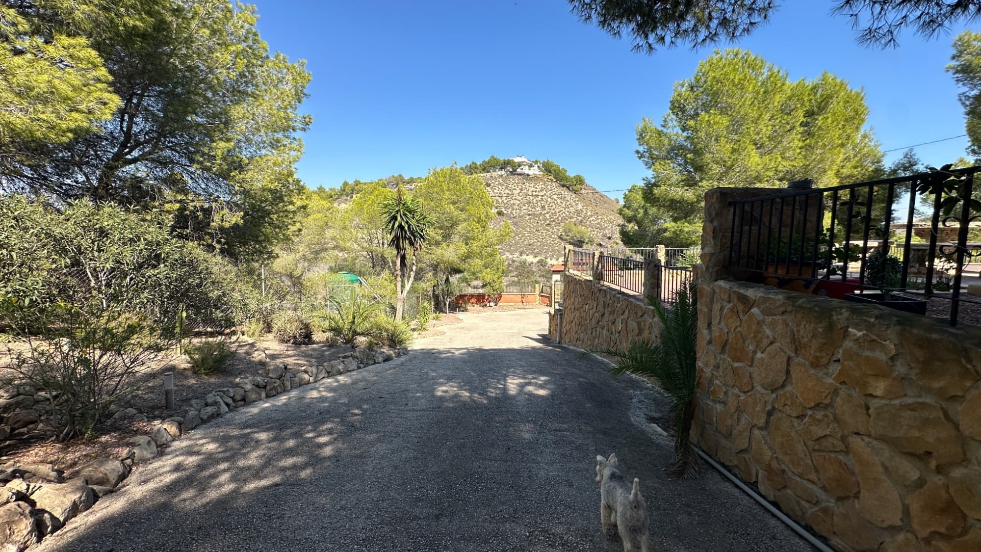 Finca - Cortijo met 3 slaapkamers in San Miguel de Salinas - 27