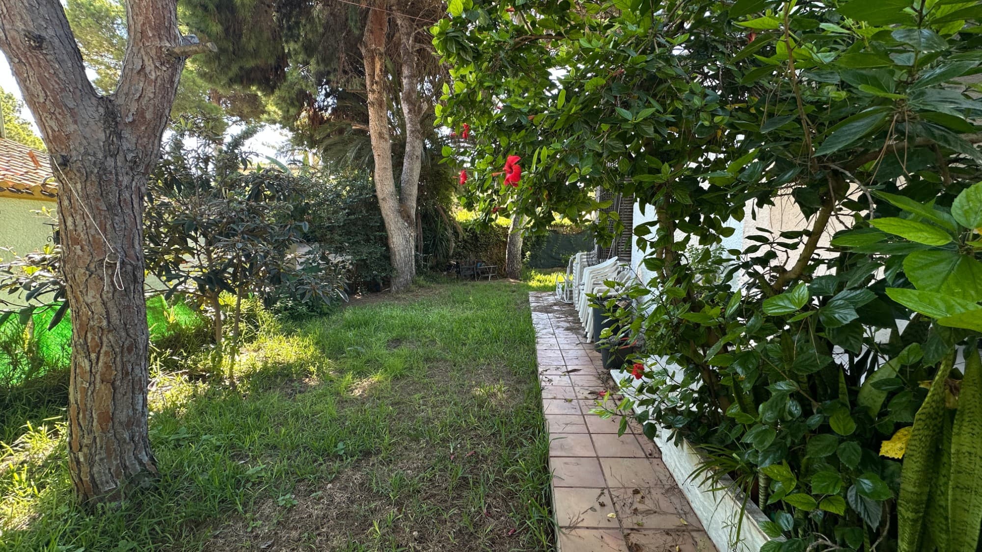 Villa - Chalet de 4 dormitorios en Orihuela Costa - 13