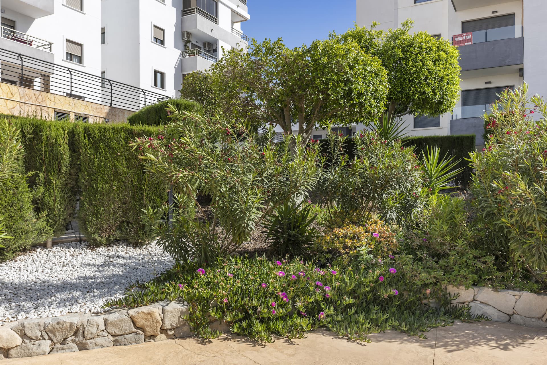 Apartamento Planta Media de 2 dormitorios en San Miguel de Salinas - 23