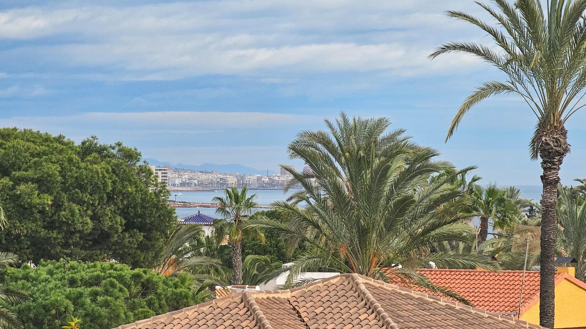 Villa - Chalet de 7 dormitorios en Cabo Roig - 43
