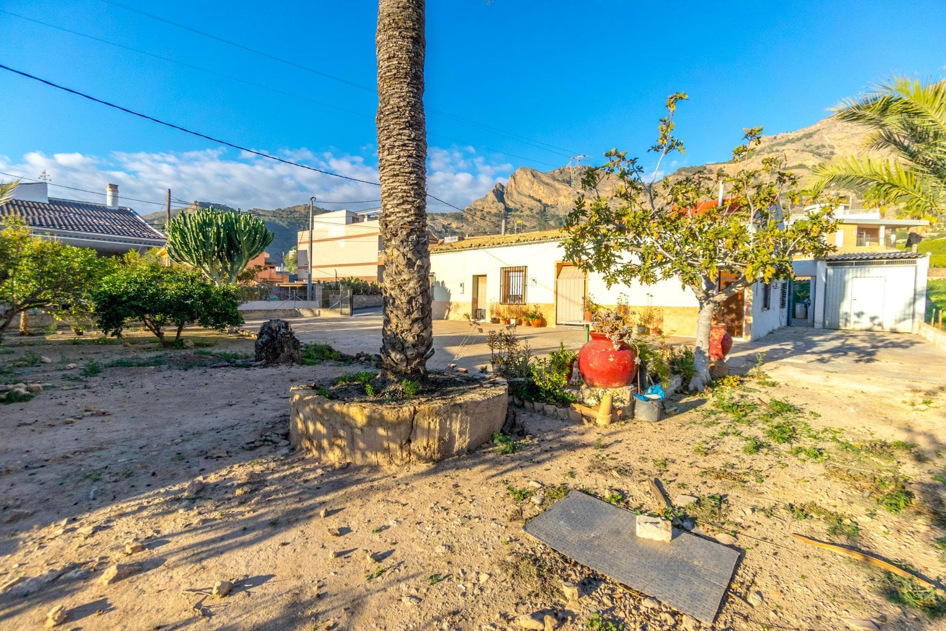 Finca - Cortijo met 4 slaapkamers in Orihuela - 21