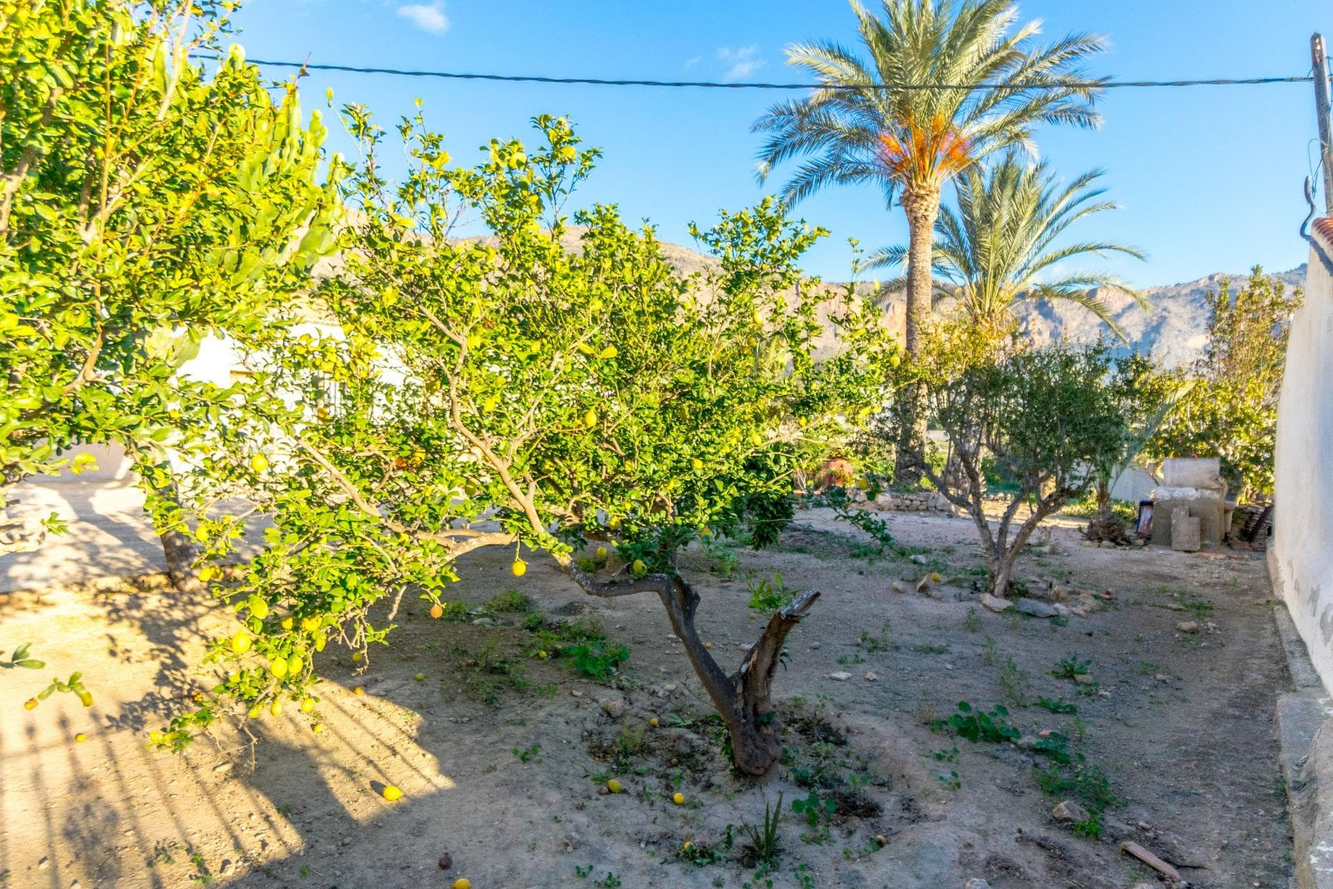 Finca - Cortijo met 4 slaapkamers in Orihuela - 23