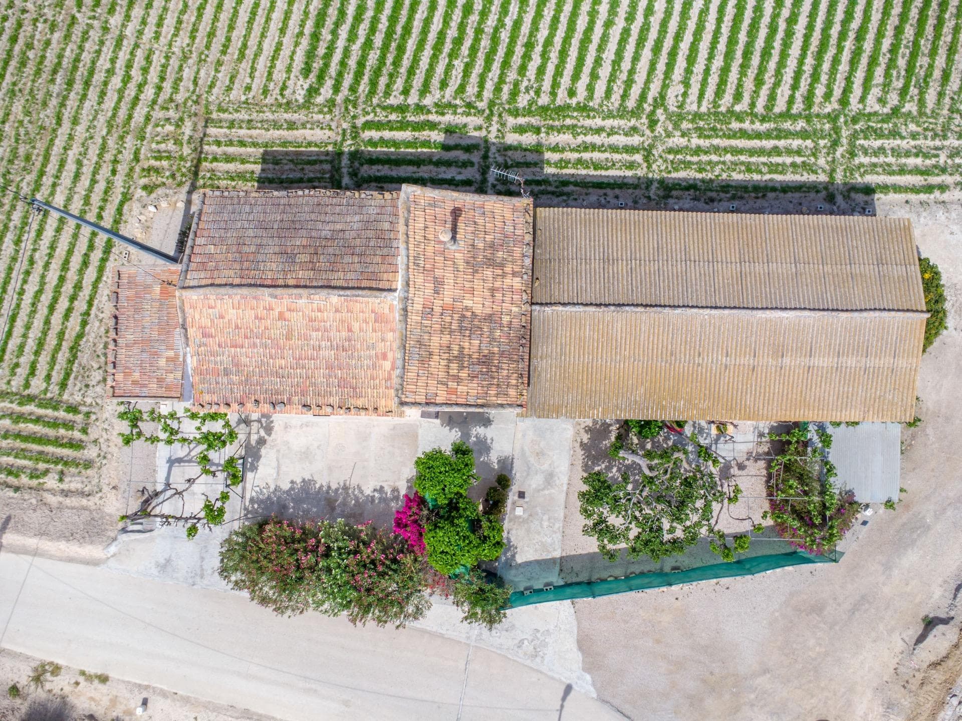 Finca - Cortijo met 3 slaapkamers in Orihuela - 16