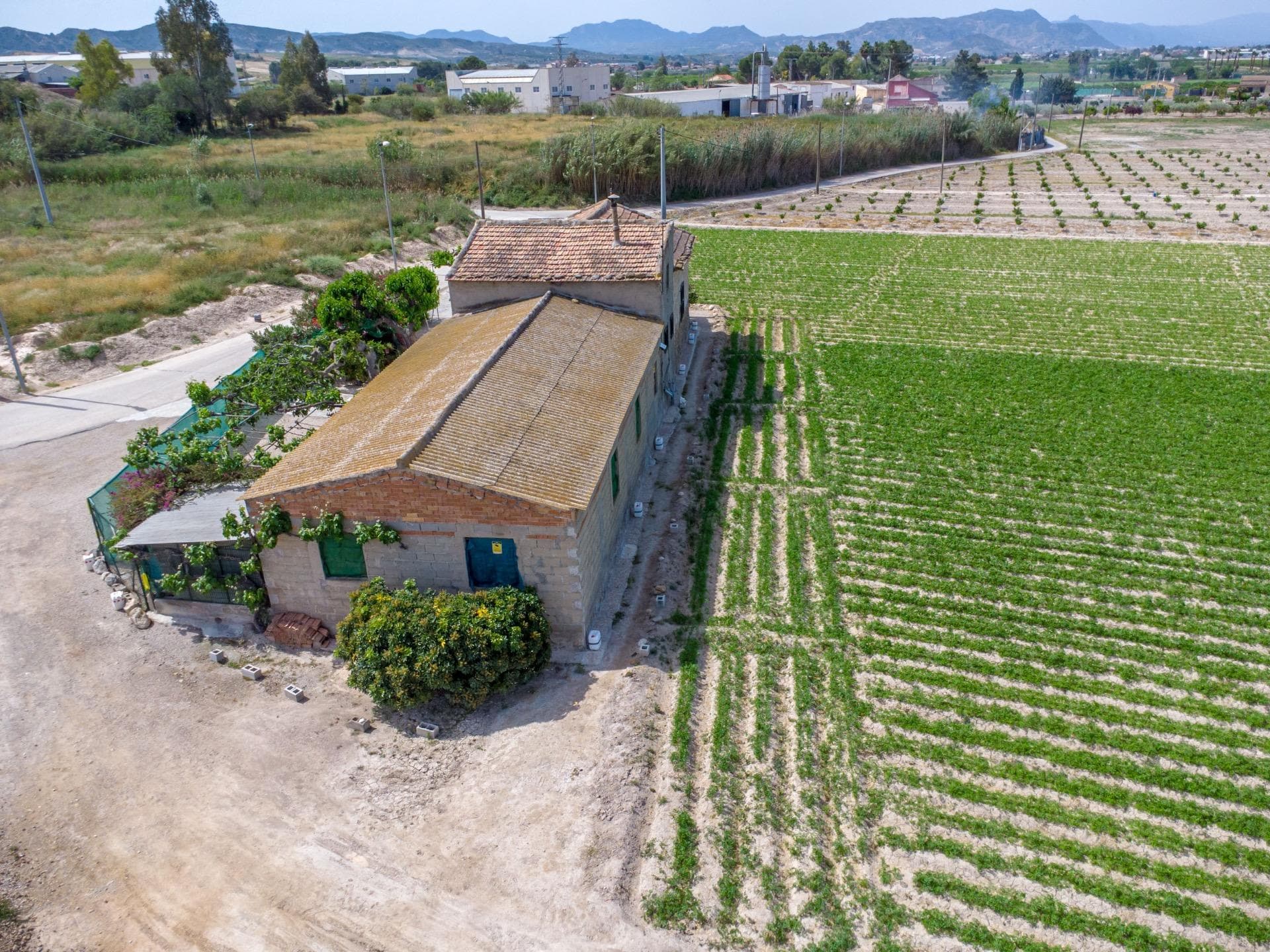 Finca - Cortijo met 3 slaapkamers in Orihuela - 17