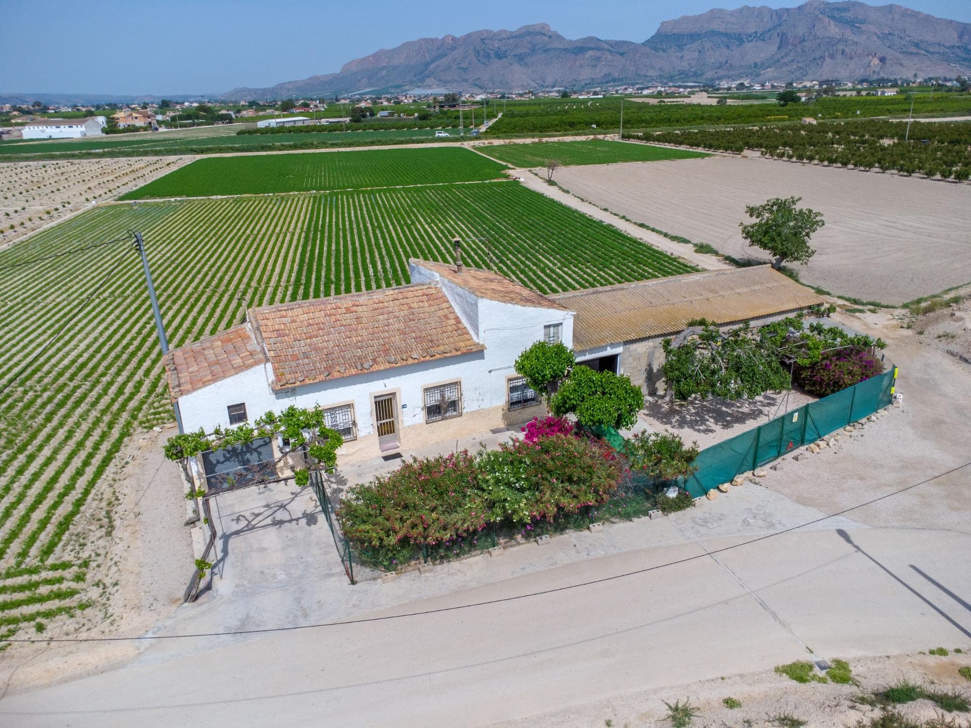 Finca - Cortijo met 3 slaapkamers in Orihuela - 2