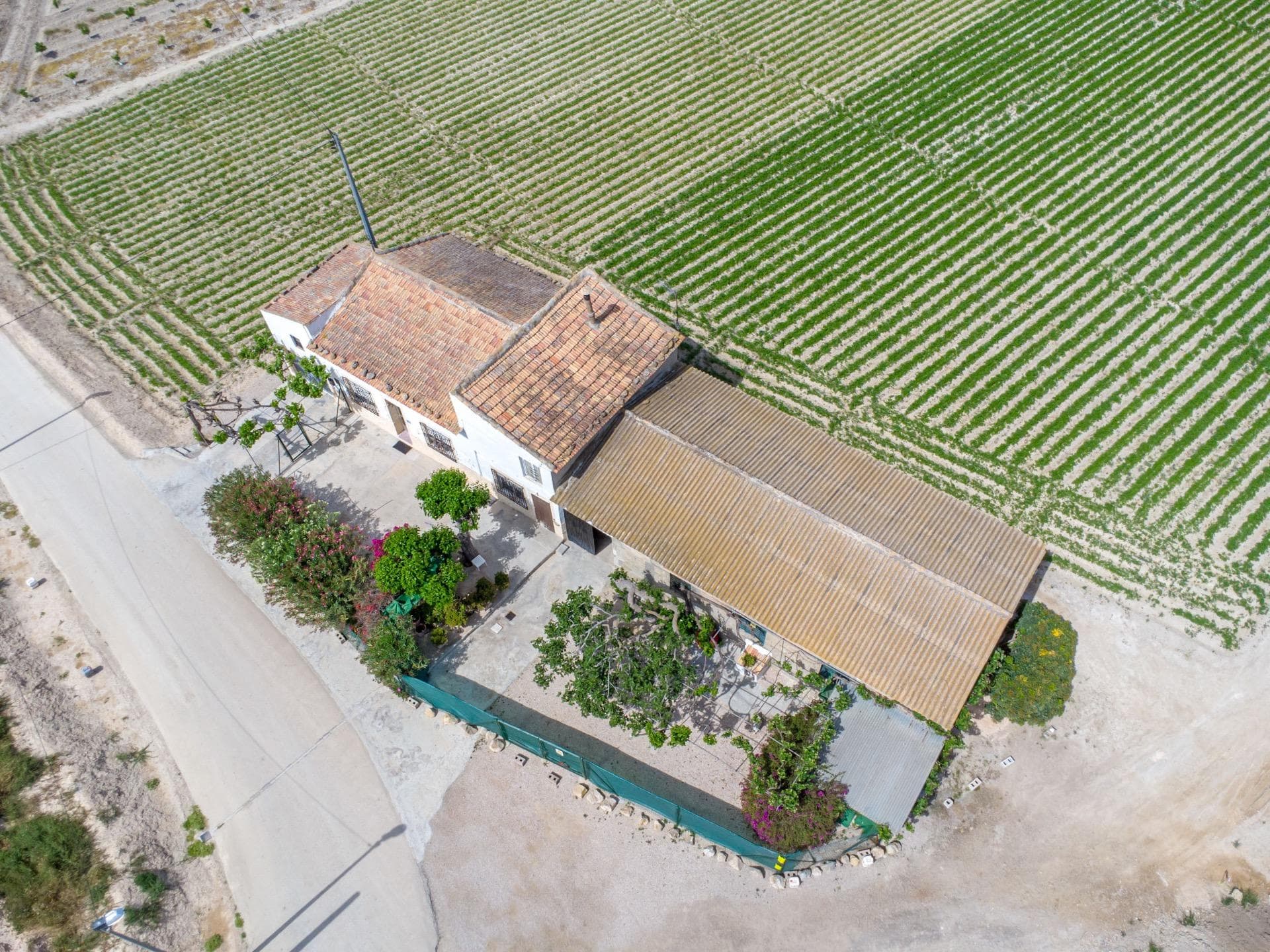 Finca - Cortijo met 3 slaapkamers in Orihuela - 23