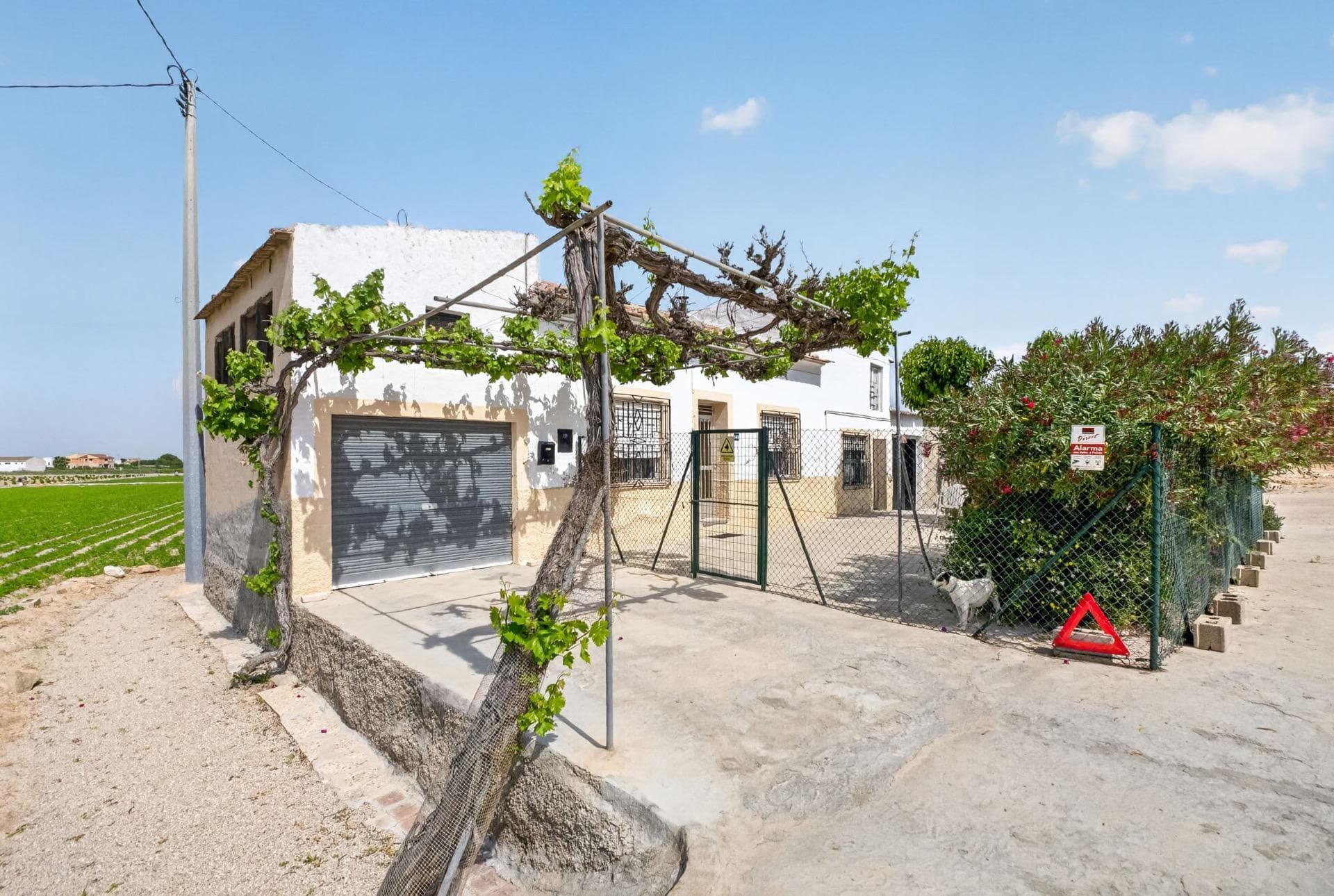Finca - Cortijo met 3 slaapkamers in Orihuela - 3