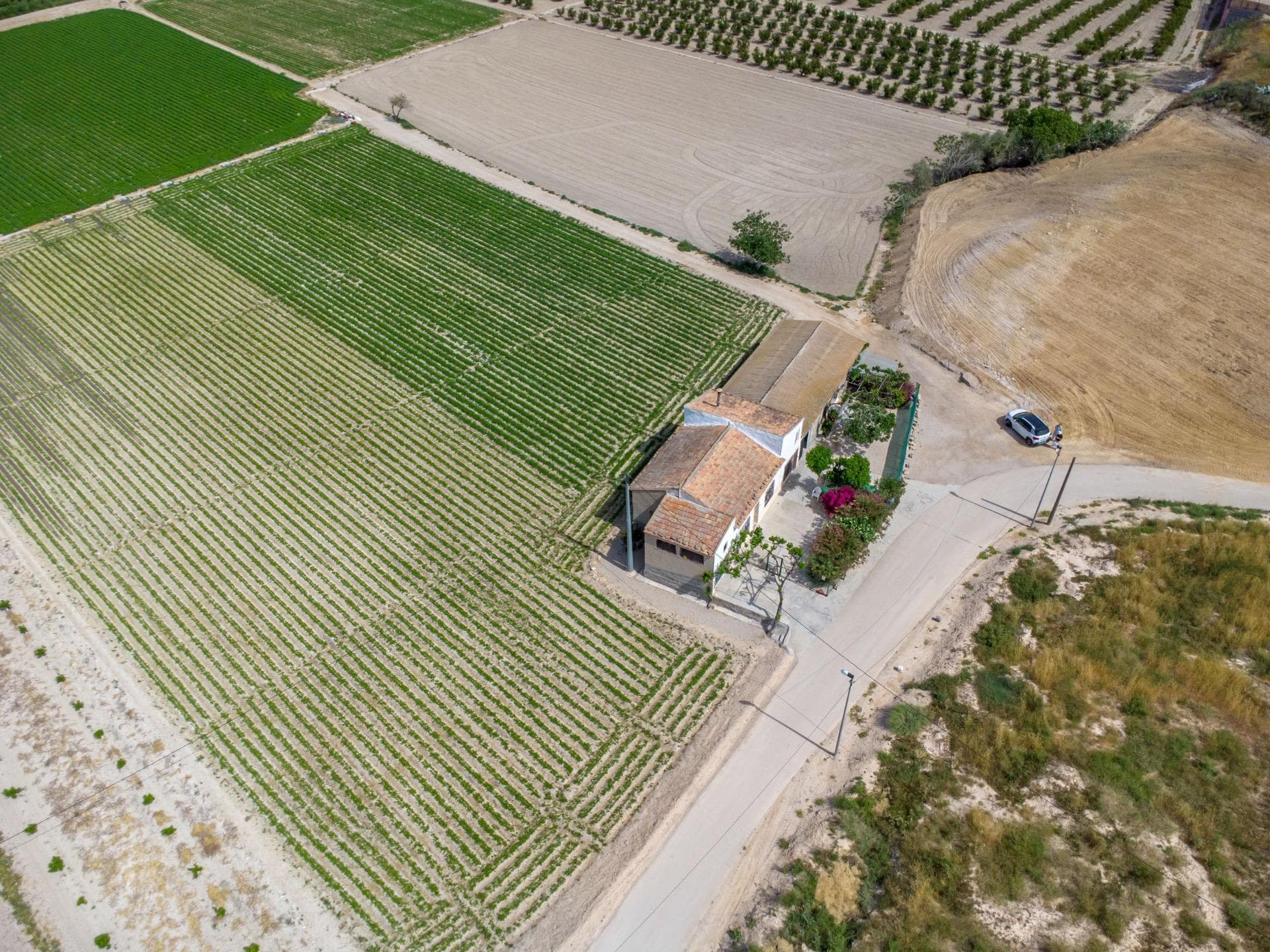 Finca - Cortijo met 3 slaapkamers in Orihuela - 38