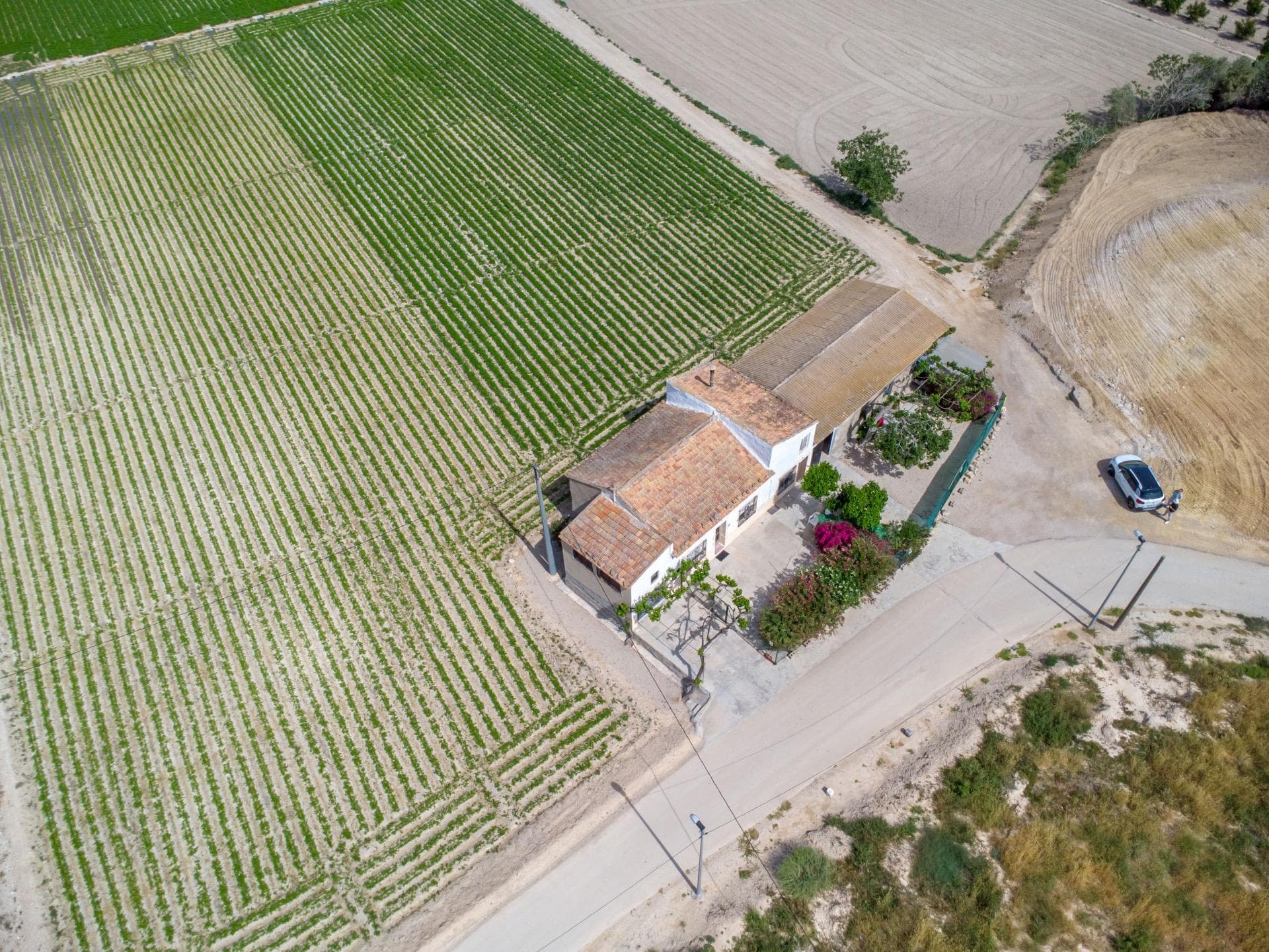 Finca - Cortijo met 3 slaapkamers in Orihuela - 39
