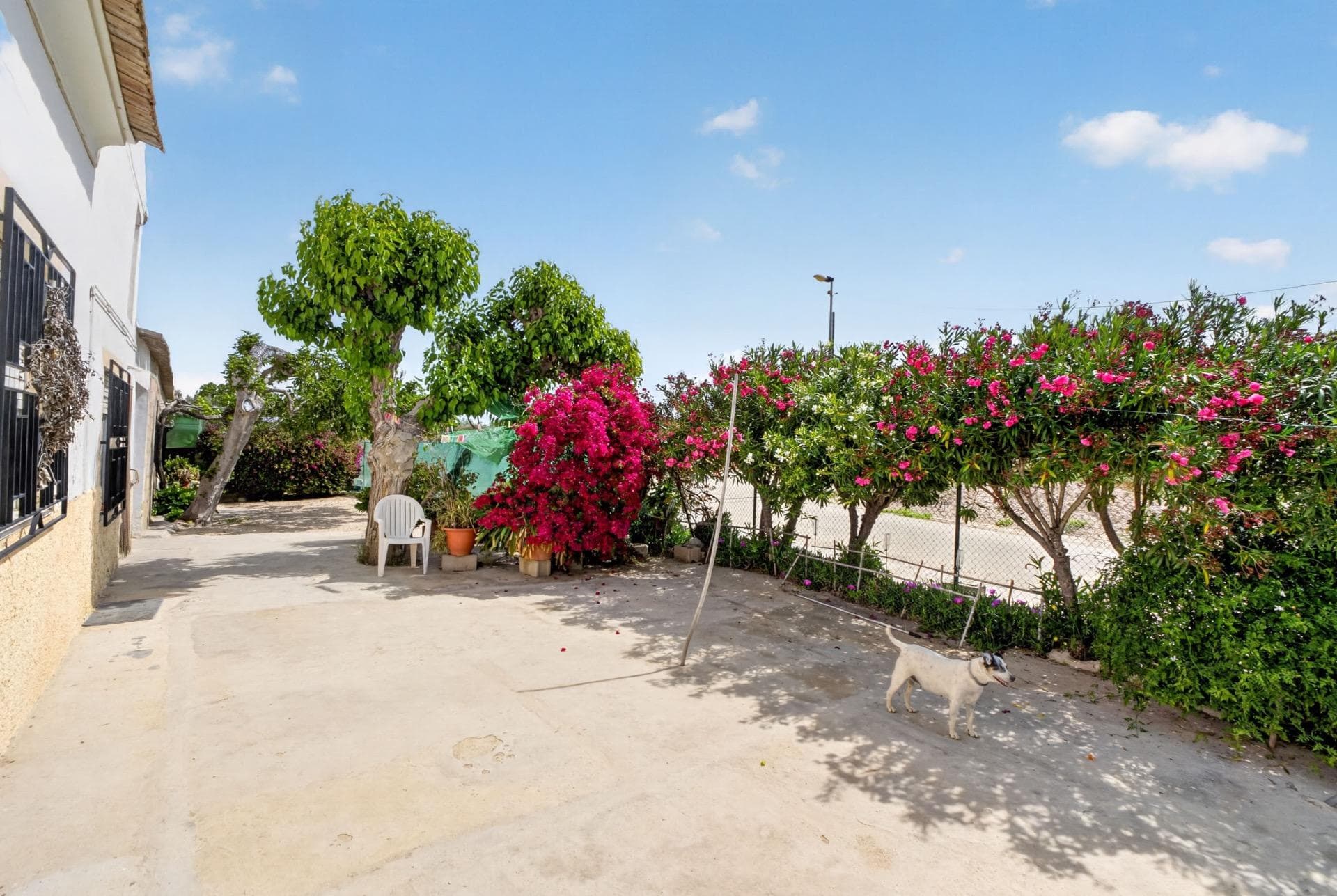 Finca - Cortijo met 3 slaapkamers in Orihuela - 5