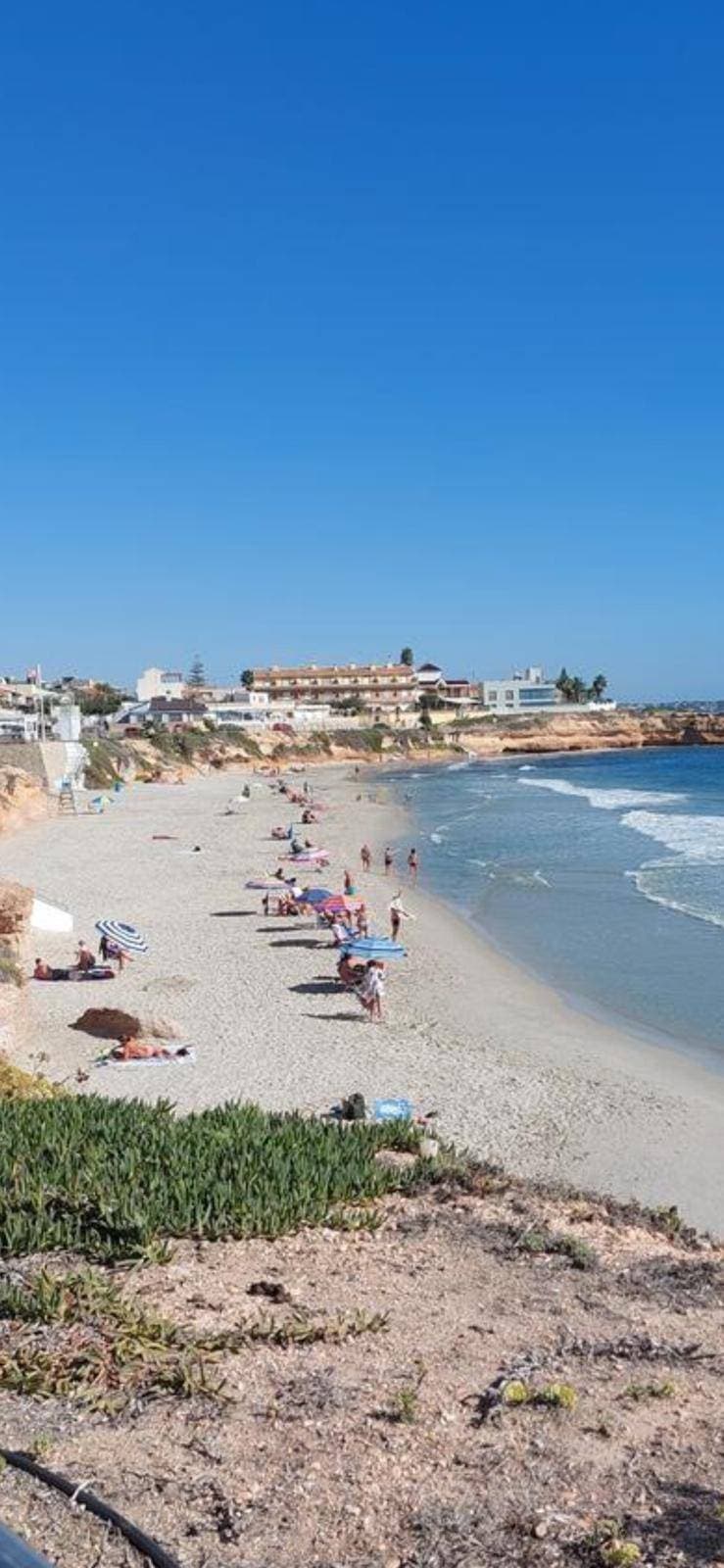 Apartamento Planta Media de 3 dormitorios en Pilar de la Horadada - 5