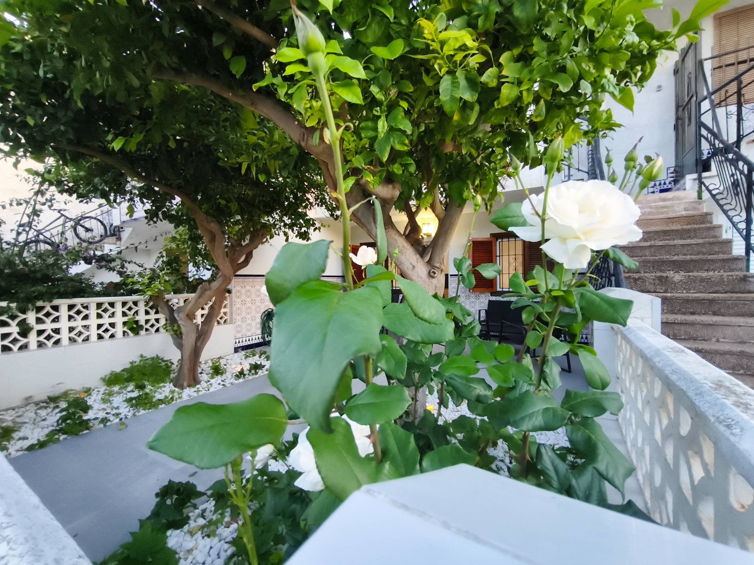 Bungalow met 3 slaapkamers in San Pedro del Pinatar - 35