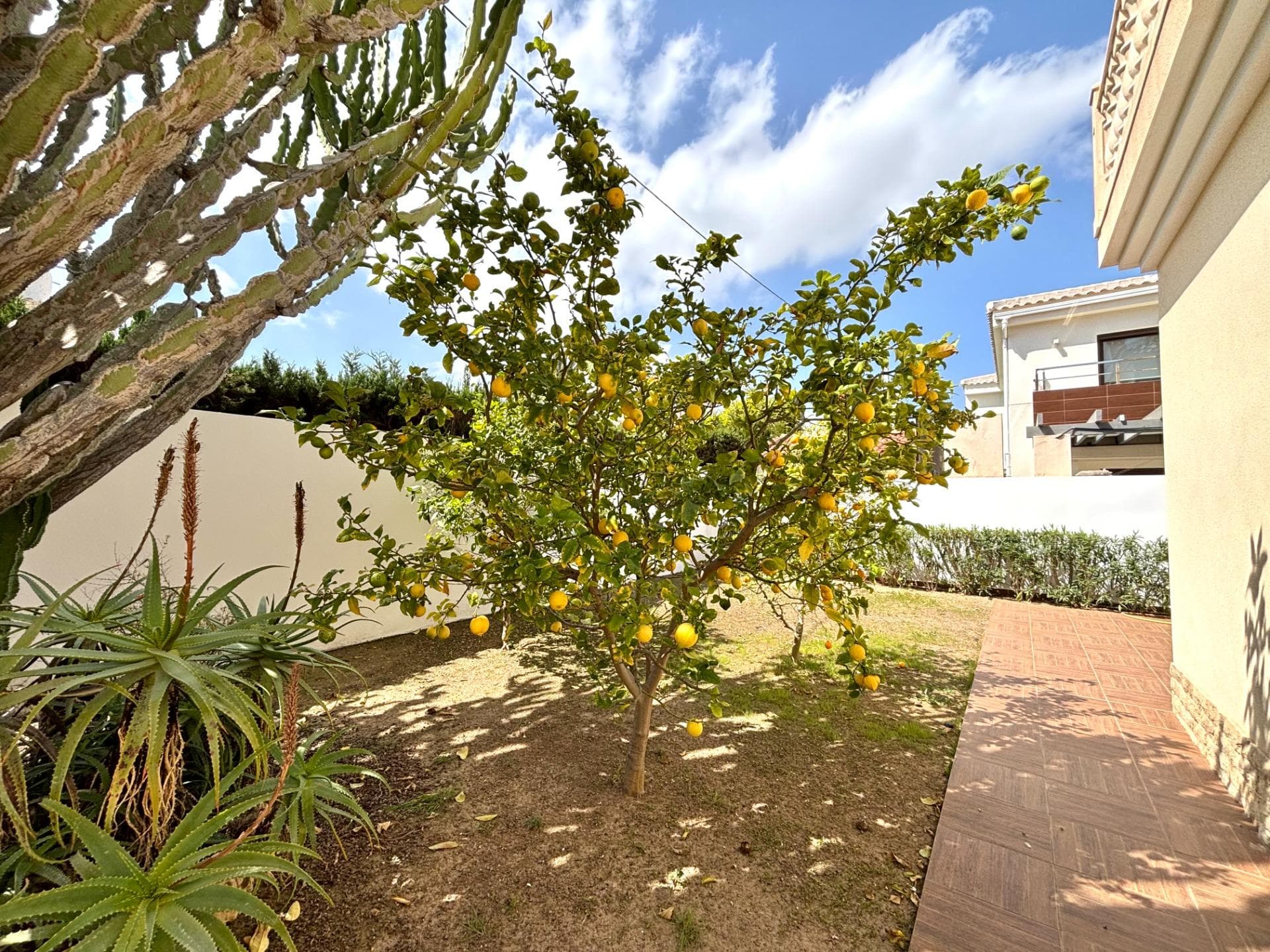 Vrijstaande Villa met 4 slaapkamers in Cabo Roig - 7