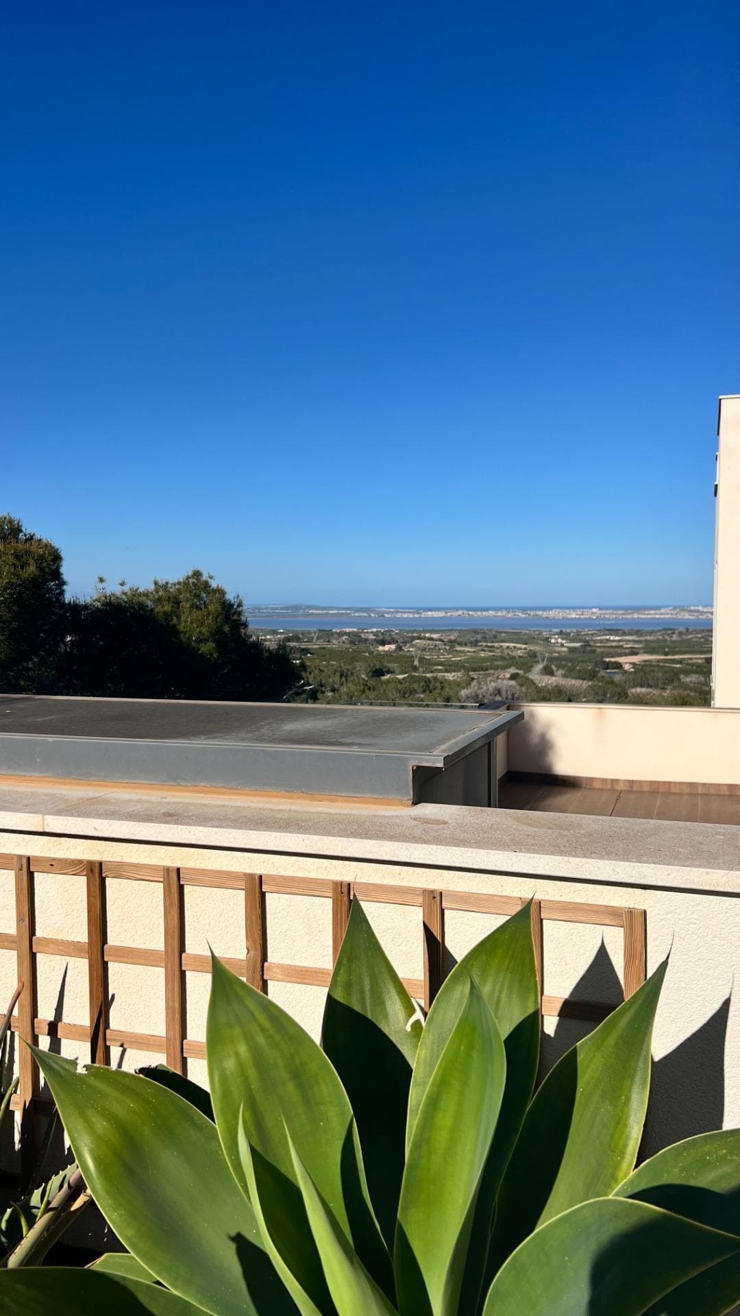 Tussenverdieping Appartement met 2 slaapkamers in San Miguel de Salinas - 41