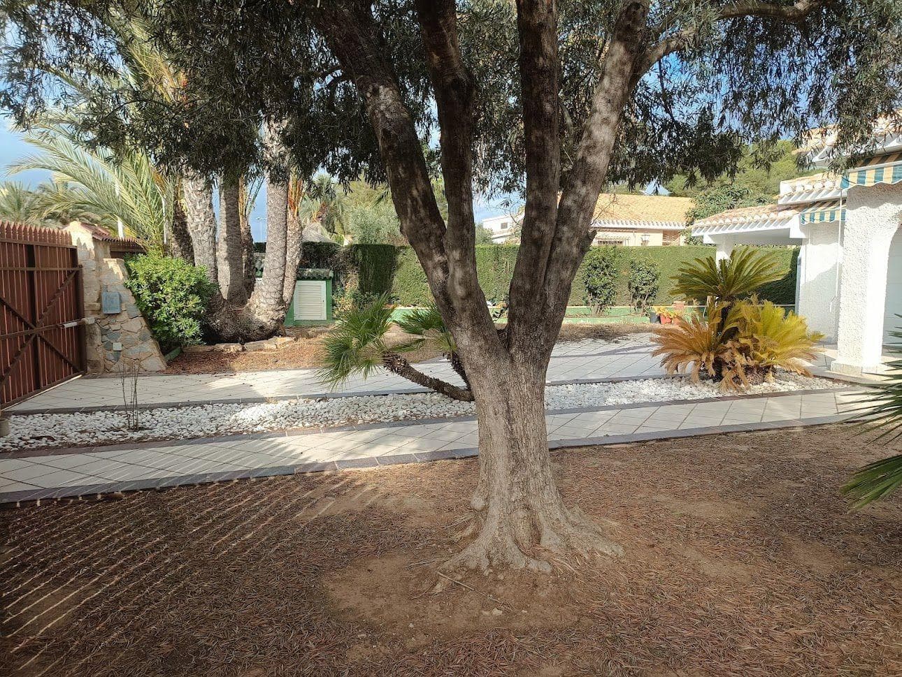 Villa - Chalet de 4 dormitorios en Orihuela Costa - 24