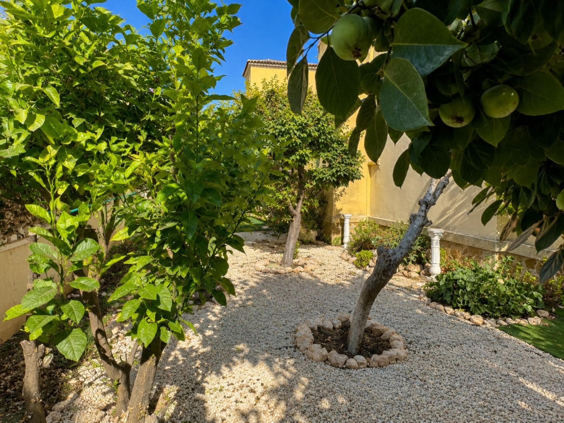 2 bed Bungalow in Orihuela Costa - 17
