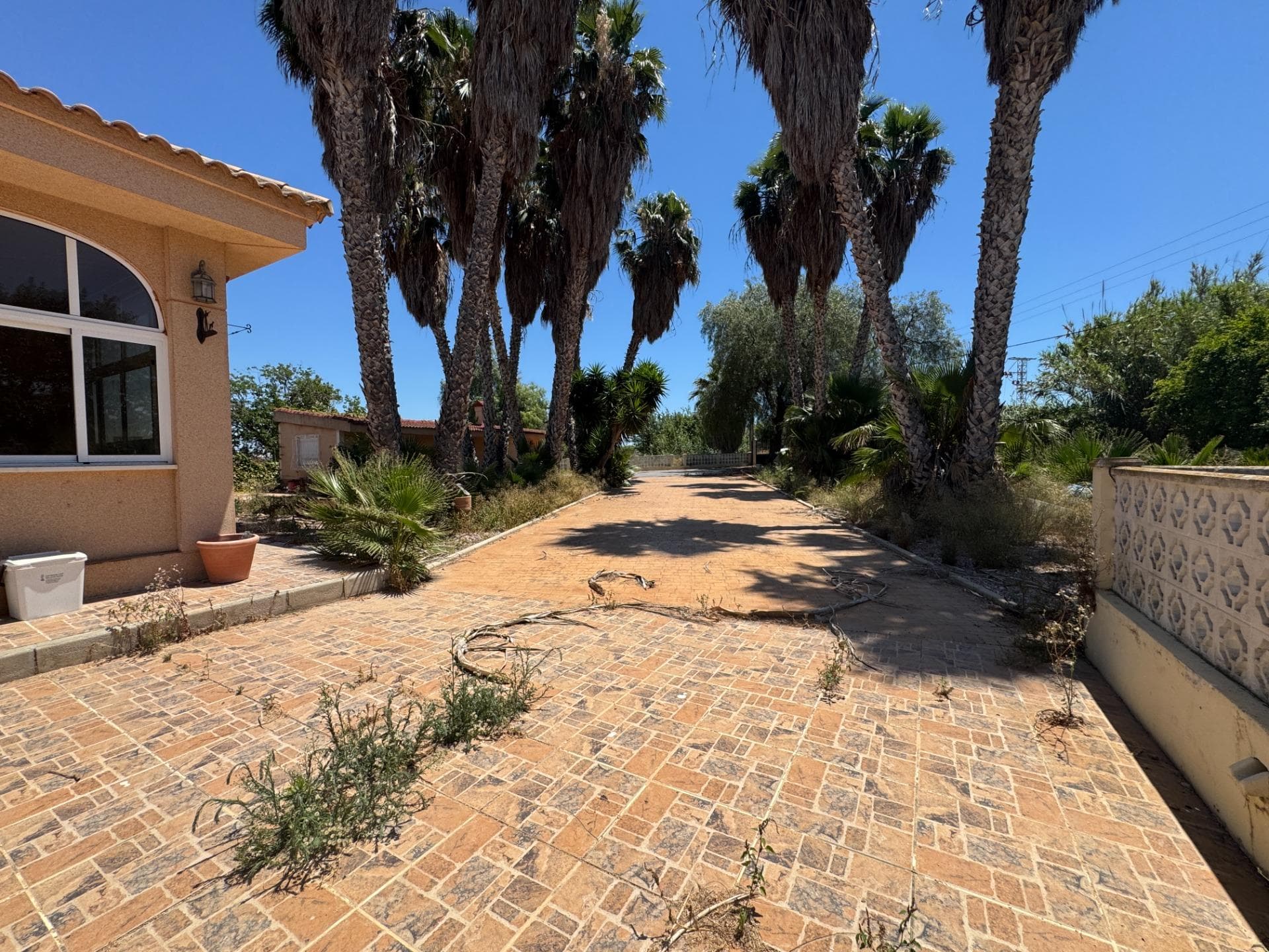 Finca - Cortijo de 5 dormitorios en Dolores - 5