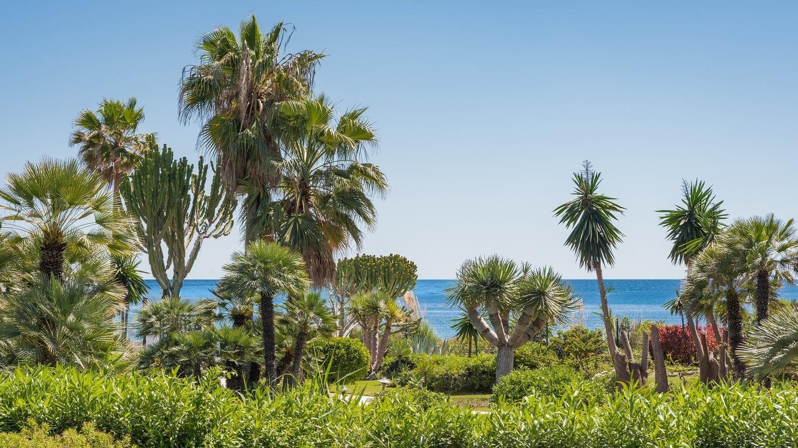 Apartamento Planta Media de 3 dormitorios en Estepona - 28