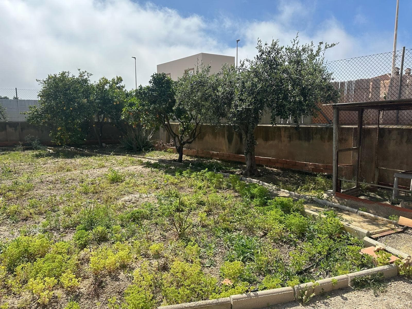 Vrijstaande Villa met 3 slaapkamers in Los Alcazares - 35
