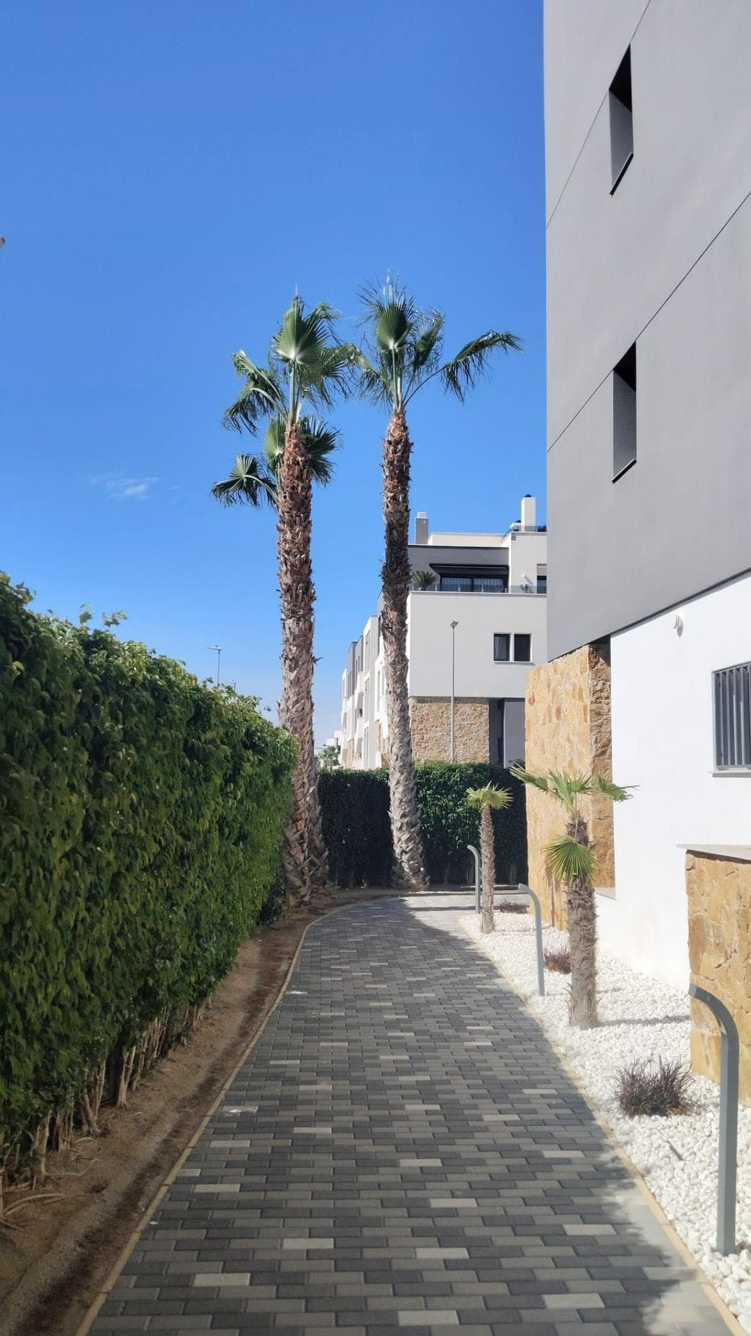 Tussenverdieping Appartement met 2 slaapkamers in Orihuela Costa - 22