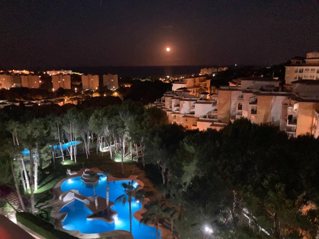 Apartamento Planta Media de 2 dormitorios en Orihuela Costa - 31