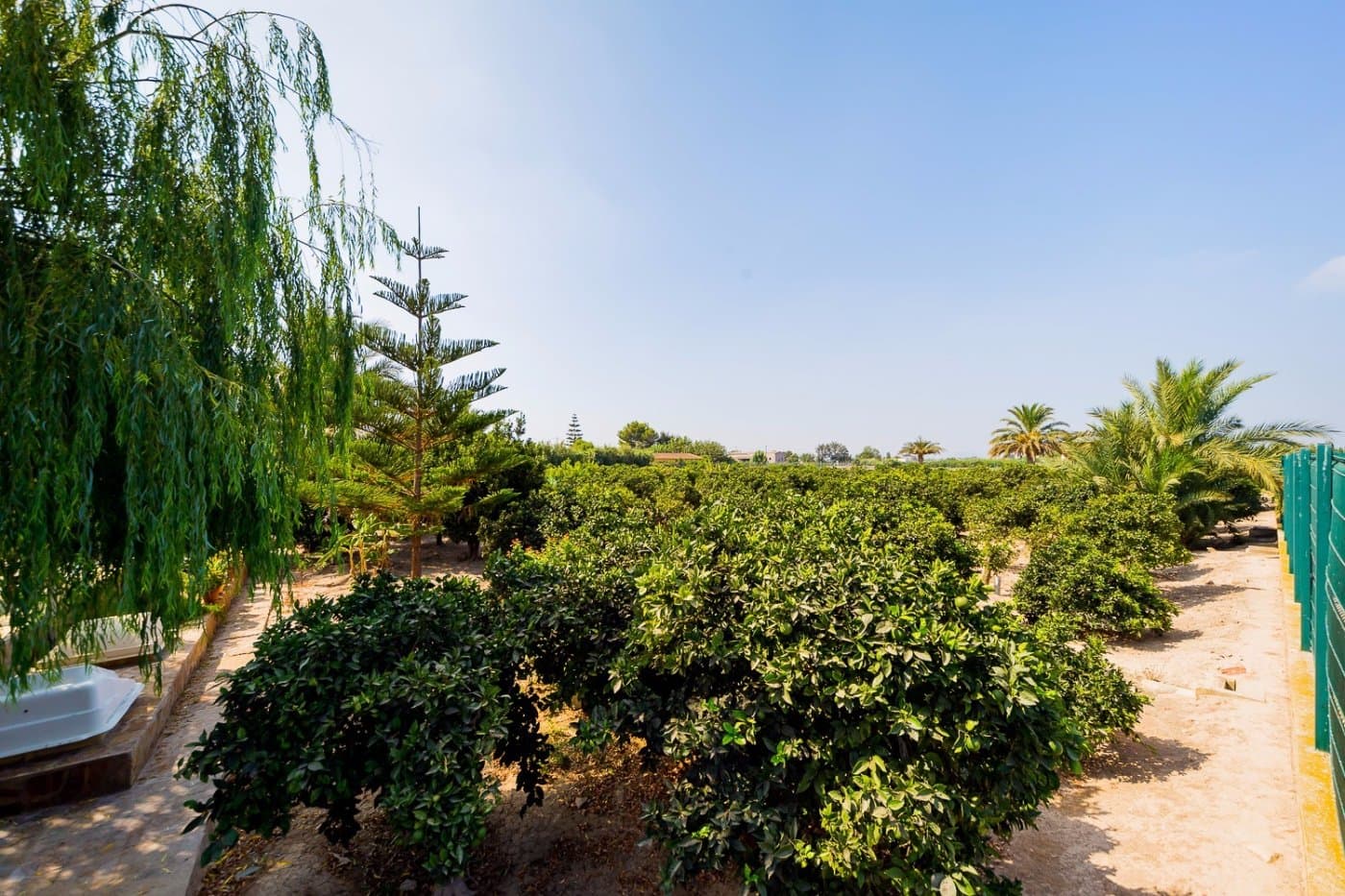 Finca - Cortijo de 5 dormitorios en Almoradi - 18
