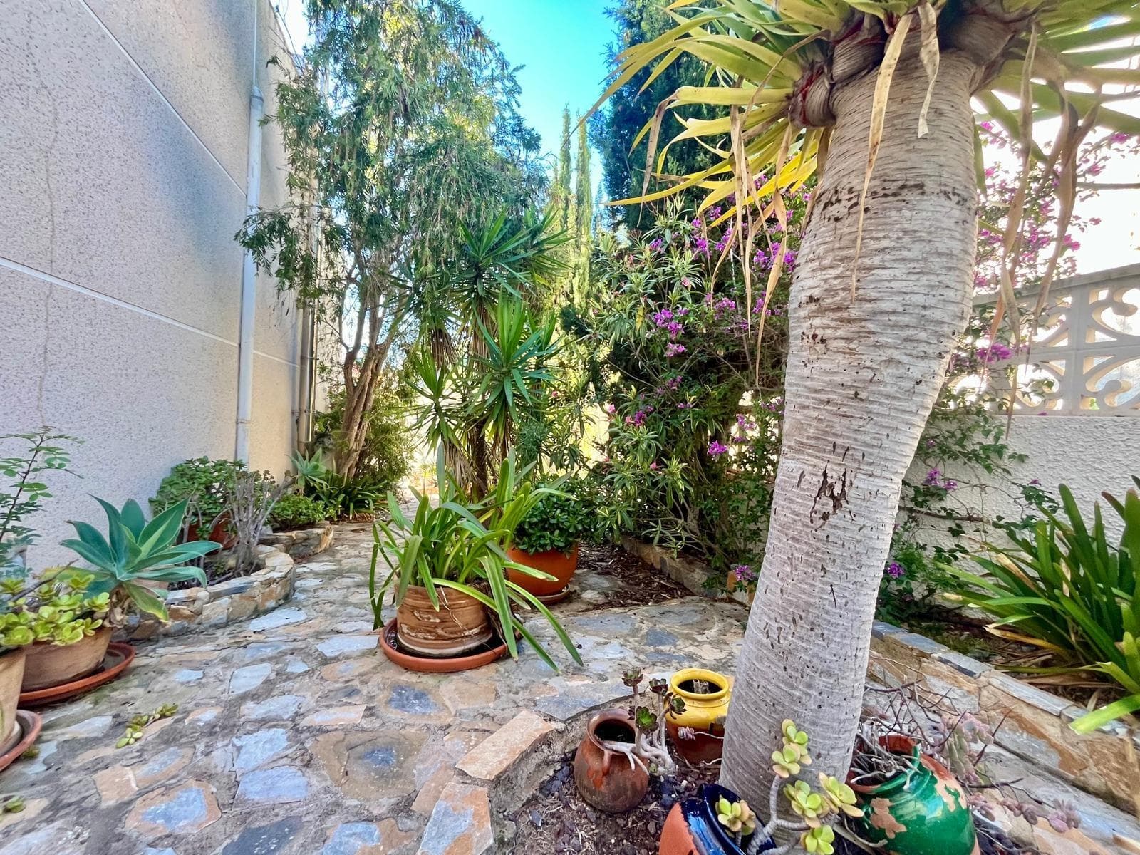 3 bed Detached Villa in San Miguel de Salinas - 12