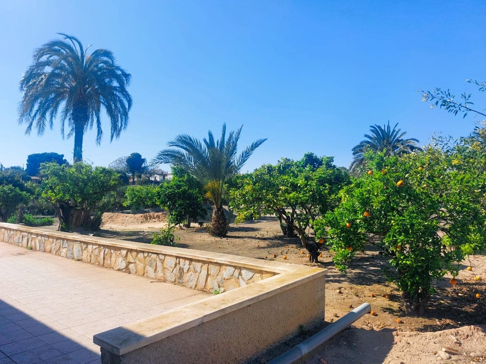 Finca - Cortijo met 5 slaapkamers in La Marina - 10