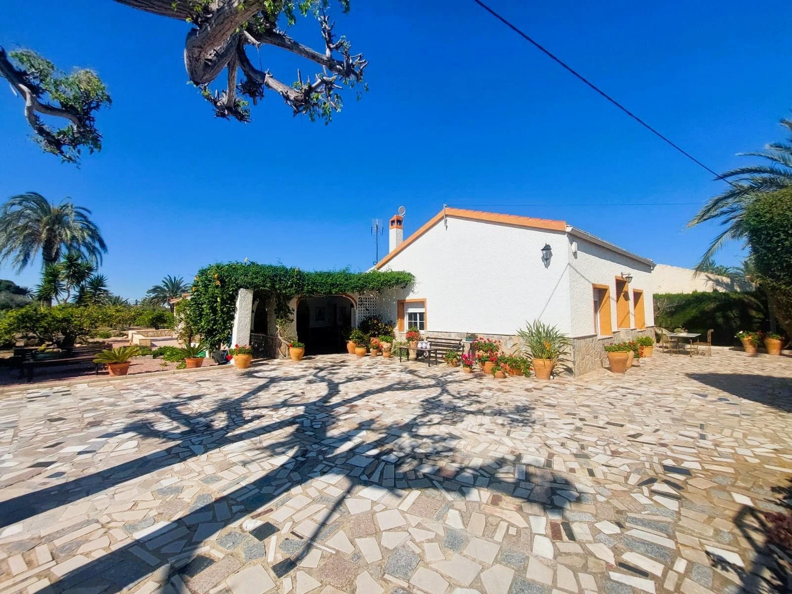Finca - Cortijo met 5 slaapkamers in La Marina - 3