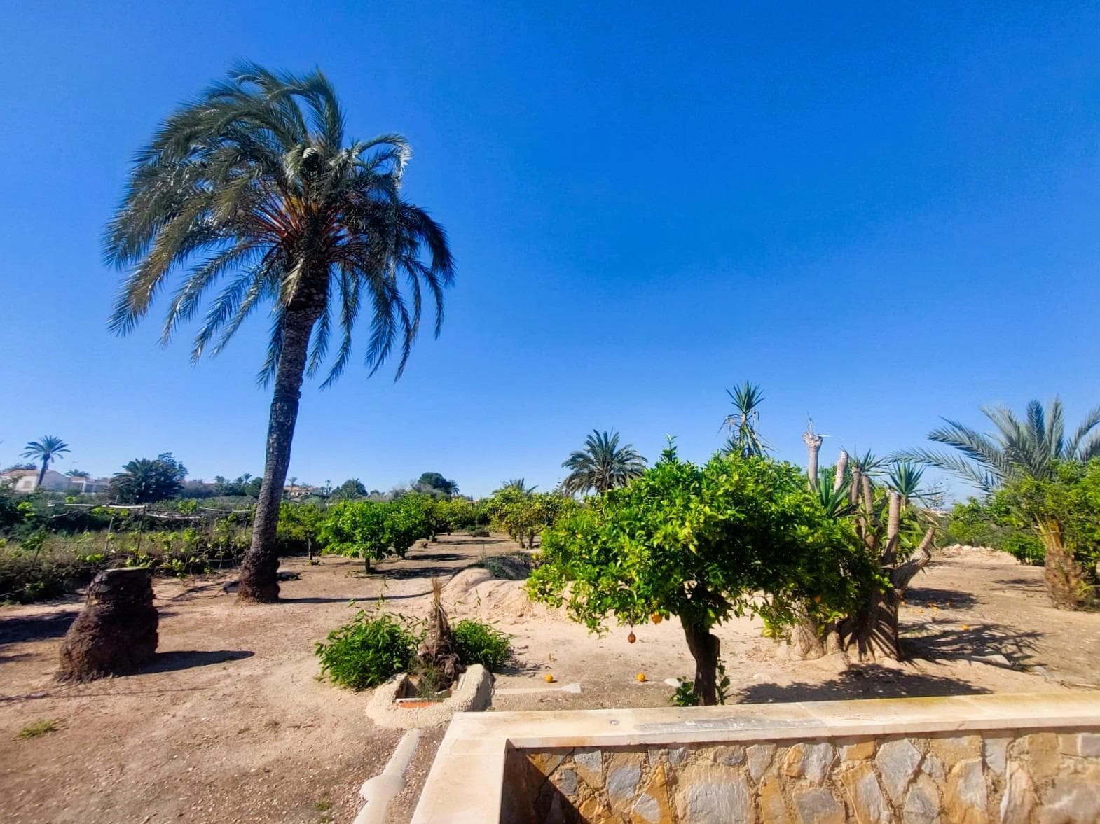 Finca - Cortijo met 5 slaapkamers in La Marina - 9