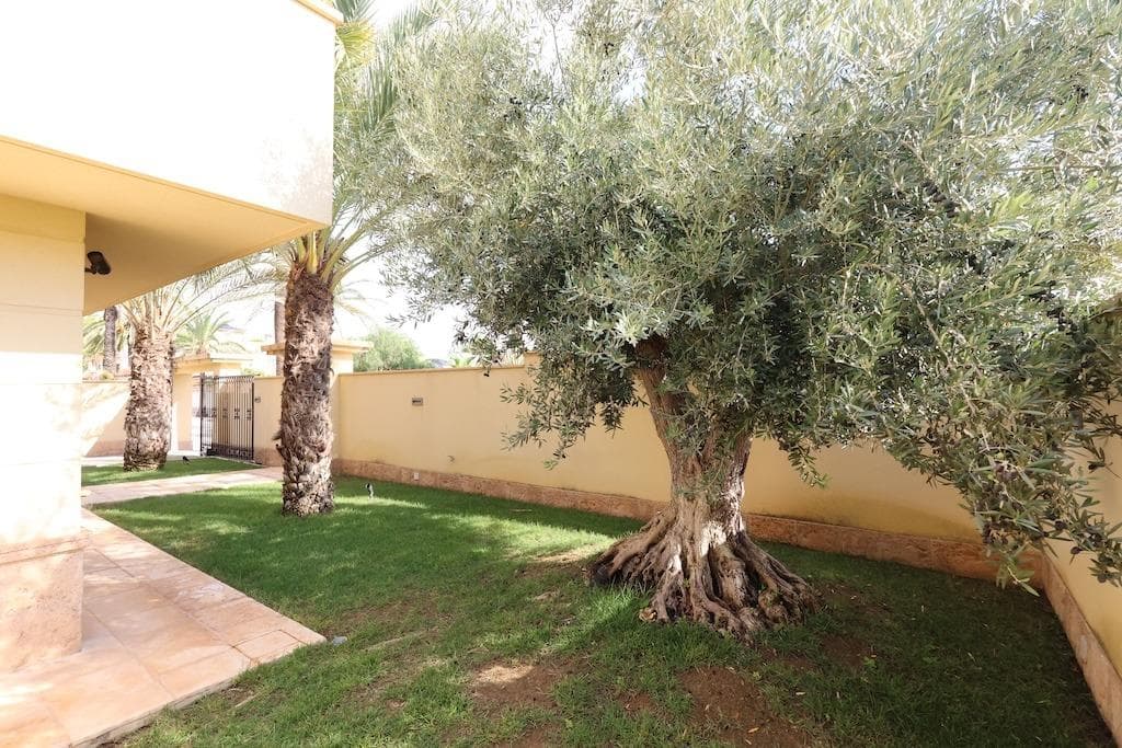 Villa - Chalet de 4 dormitorios en Cabo Roig - 27