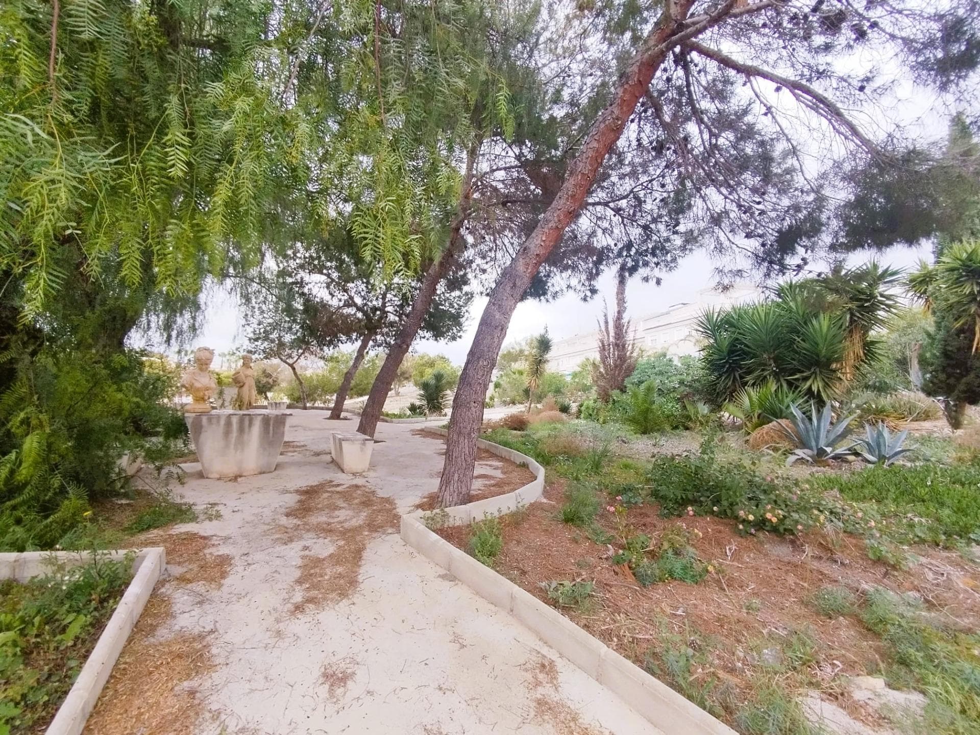 Villa - Chalet de 4 dormitorios en San Miguel de Salinas - 49