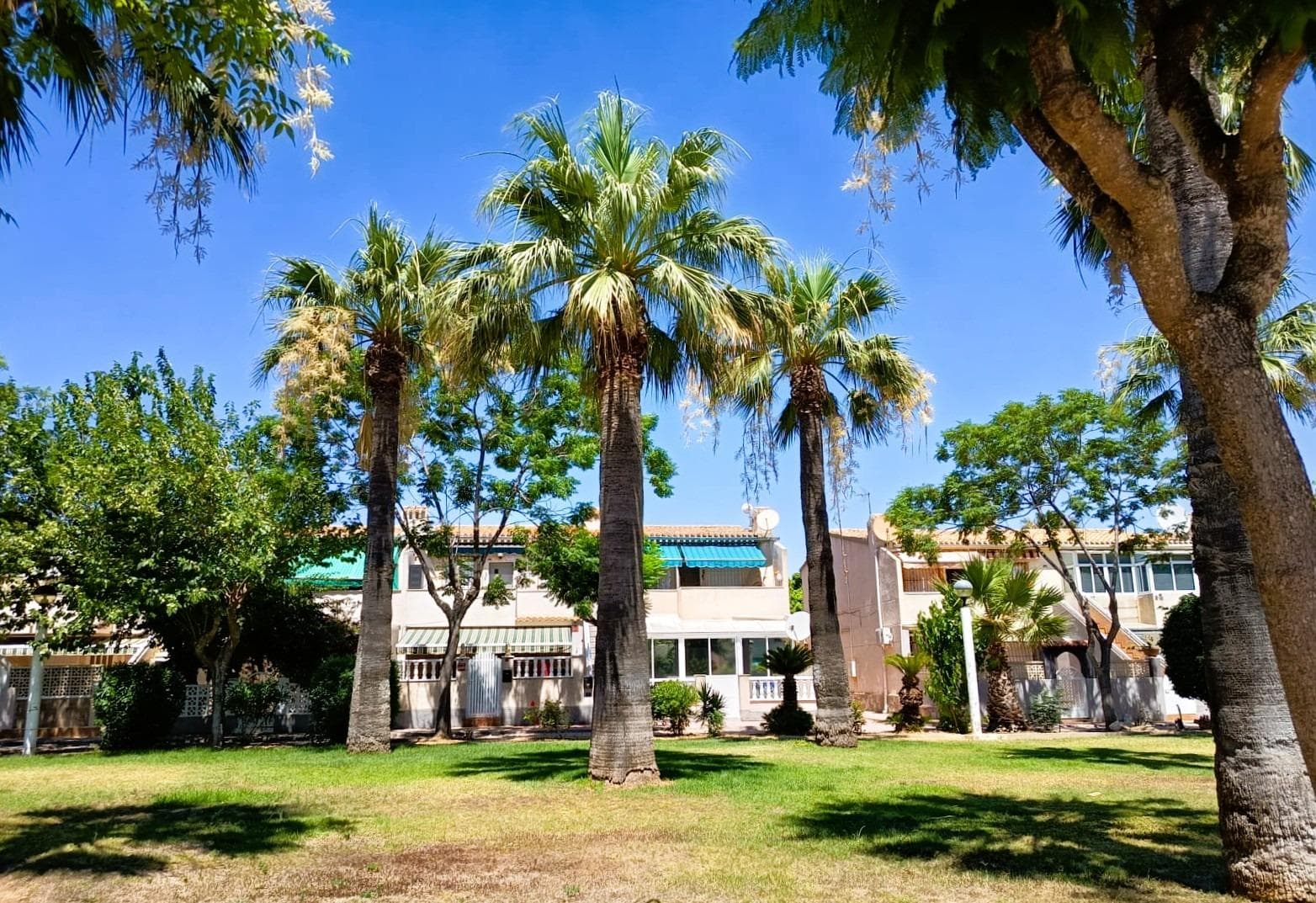 2 bed Bungalow in Orihuela Costa - 28