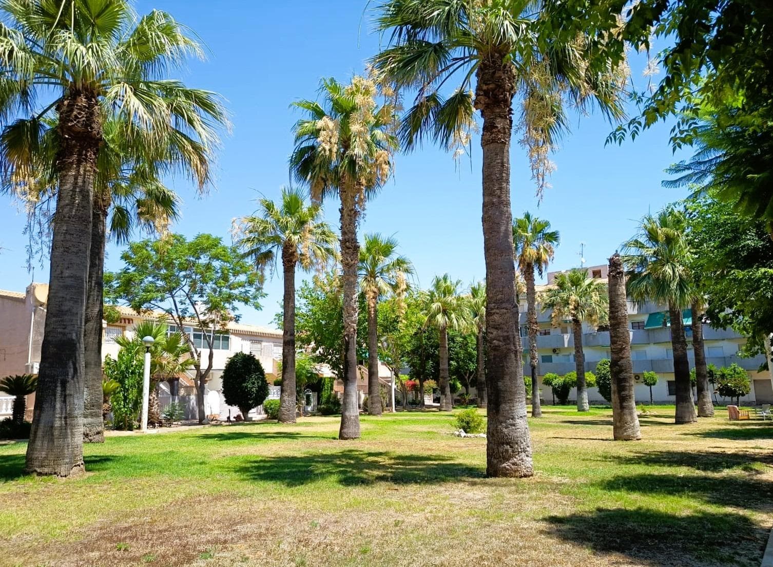 2 bed Bungalow in Orihuela Costa - 29