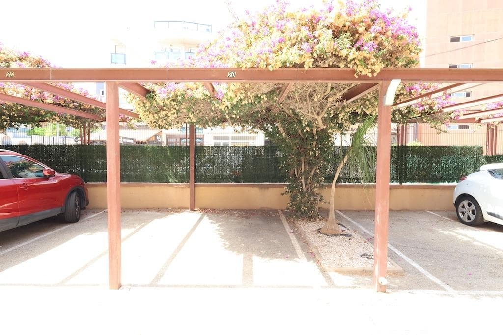 Apartamento Planta Media de 2 dormitorios en Orihuela Costa - 16