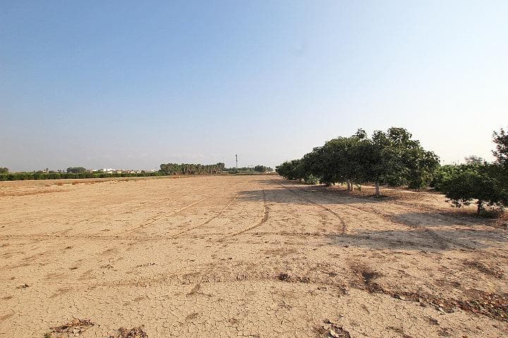Finca - Cortijo de 2 dormitorios en Daya Nueva - 21