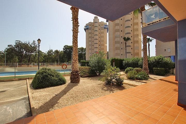Apartamento Planta Media de 3 dormitorios en Guardamar del Segura - 28