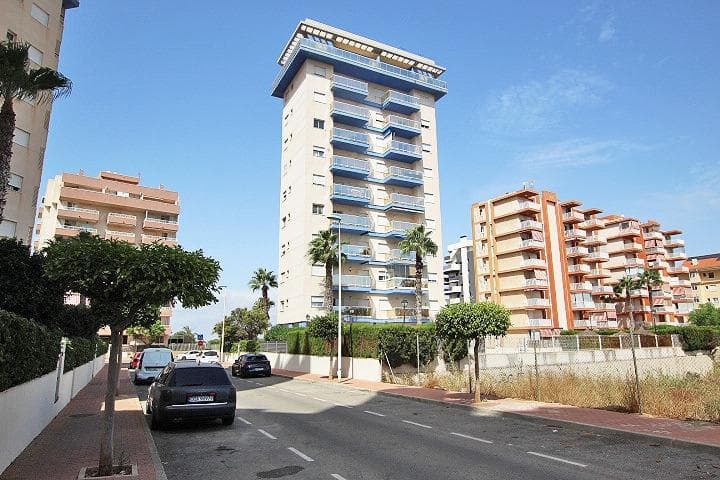 Apartamento Planta Media de 3 dormitorios en Guardamar del Segura - 29