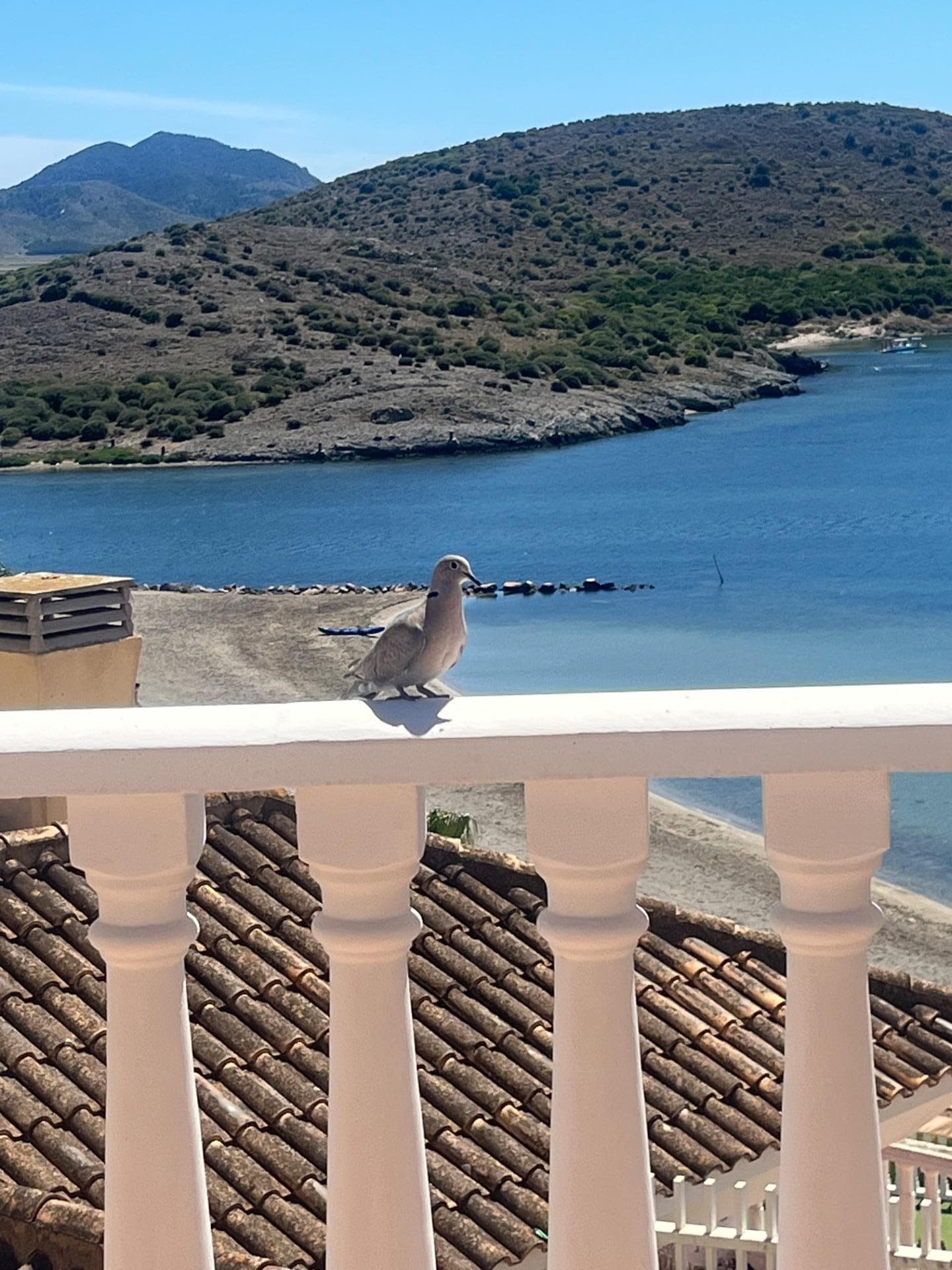 5 bed Detached Villa in La Manga Del Mar Menor - 11