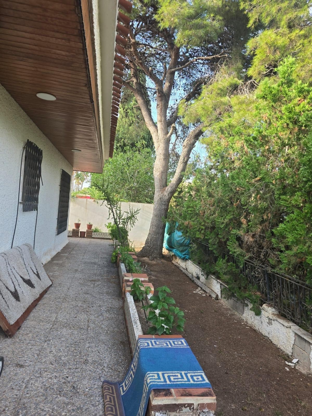 Villa - Chalet de 7 dormitorios en Orihuela Costa - 7